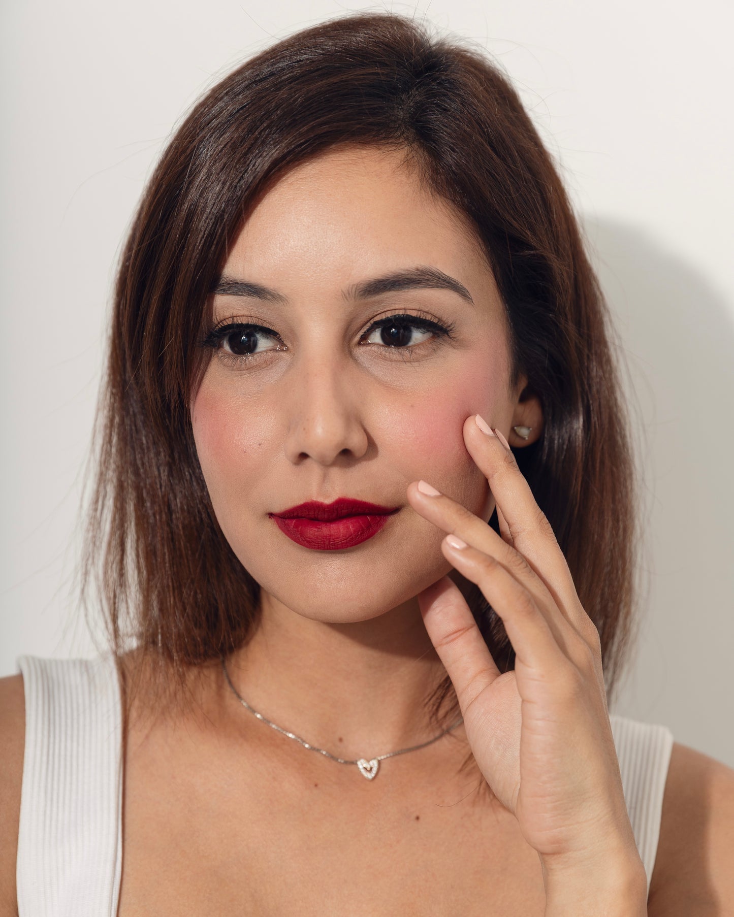 Wine Matte Liquid Lipstick