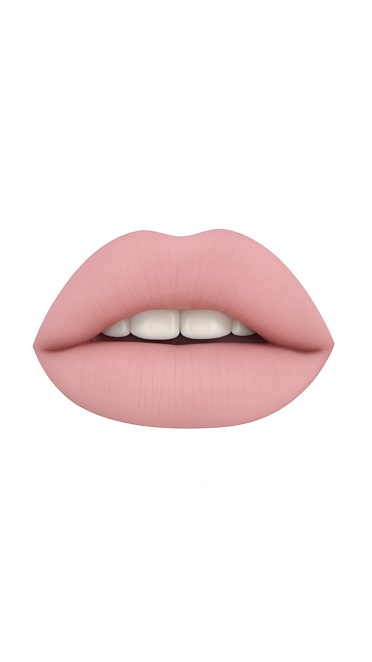 Nude Rose Matte Liquid Lipstick