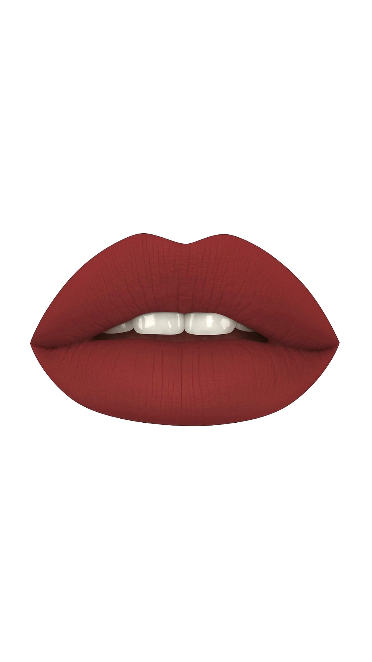 Wine Matte Liquid Lipstick